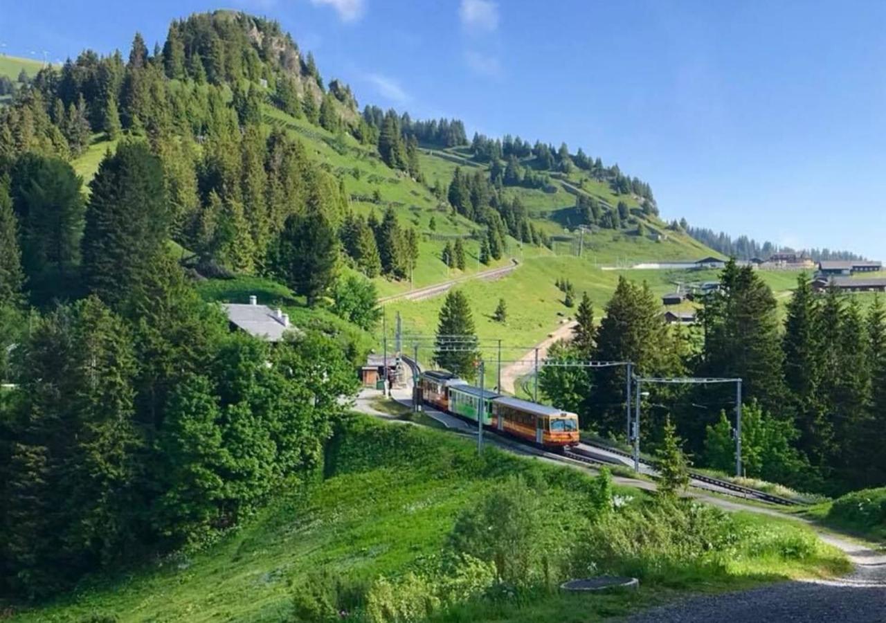 Maison De Montagne De Bretaye Acces Par Le Train Arret Bouquetin Villars-sur-Ollon Dış mekan fotoğraf